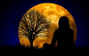 Meditate in the Moonlight - Living Qigong
